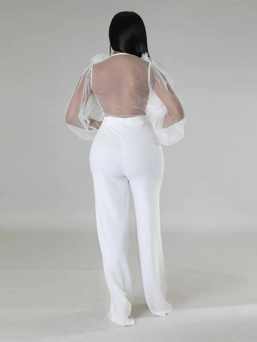 Mesh V Neck Jumpsuits